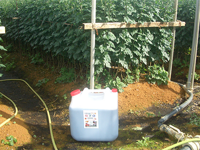 スーパー酵素のレビュー