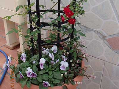 スーパー酵素のレビュー