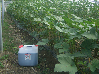 スーパー酵素の口コミ